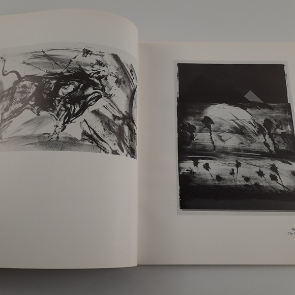 TAMARIND 25 YEARS 1960-1985 Museum Exhibition Catolog Coffee Table Book - Picture 5 of 16